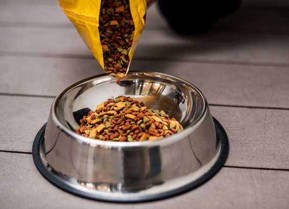 Alimentación para perros esterilizados