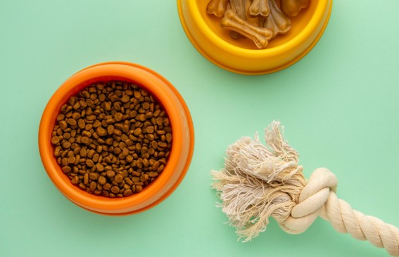Por qué es importante la fibra en la dieta canina