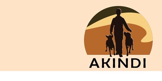 Pienso Akindi logo