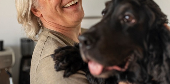 Piensos Akindi para perros sin dientes