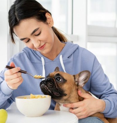 dieta hipoalergenica en perros