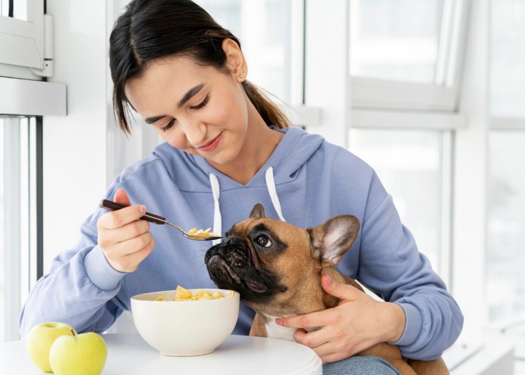 dieta hipoalergenica en perros