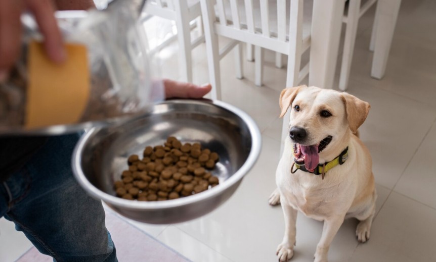 Qué es una dieta hipoalergénica en perros