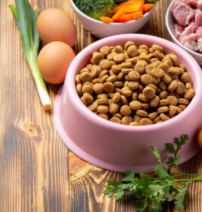 pienso natural para perros