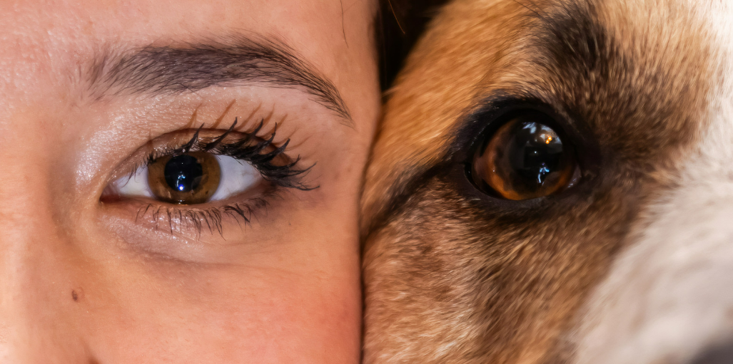 Ojo de perro y de su dueña